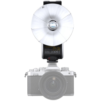 Godox Lux Senior Retro Camera Flash