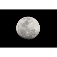 Canon RF 200-800mm f/6.3-9 IS USM Lens
