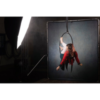 Manfrotto LL LB7932 EzyFrame Vintage Background Kit - 6.5 x 7.5', Sage
