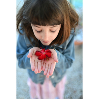 Nikon Z 35mm f/1.4 Lens