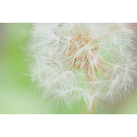 Sony A7 IV - Body Only