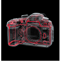 Panasonic Lumix GH6 + 12-60mm F/2.8-4 Lens