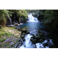 Canon EOS R8 - Body Only - Repack Stock