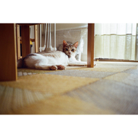 Rollei 35 AF Film Camera