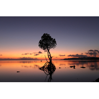 Canon EOS R50 Mirrorless Camera with RF-S 18-45mm and RF-S 55-210mm Lenses - Repack Stock