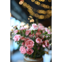 Nikon Z 35mm f/1.4 Lens