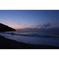 Sony A9 III Body Only