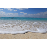 Canon EOS R100 + RF-S 18-45mm f/4.5-6.3 IS STM Lens - Repack Stock