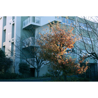 Canon EOS R50 V with RF-S 14-30mm f/4-6.3 IS STM PZ Lens - Repack Stock