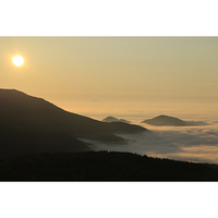 Canon RF 100-400mm f/5.6-8 IS USM Lens - Repack Stock