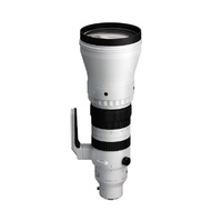 Sigma 300-600mm F4 DG OS Sports Zoom - Sony E