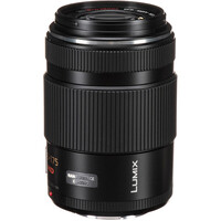 Panasonic Lumix G X Vario PZ 45-175mm f/4-5.6 ASPH. / POWER O.I.S. – Micro Four Thirds 
