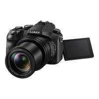 Panasonic FZ2500