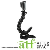 ATF Tyrannosaurus Mount - NoPackaging