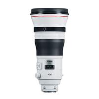 Canon EF 400mm f/2.8L IS III USM Lens