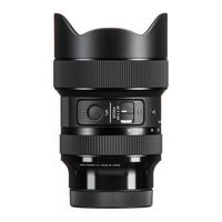 Sigma 14-24mm f/2.8 DG DN Art Lens - E Mount