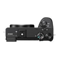 Sony A6600