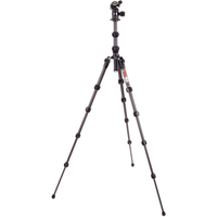 3 Legged Thing Legends Ray Tripod with AirHed VU - Darkness