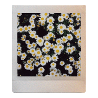 Fujifilm instax Square Sunset Film - 10 Pack