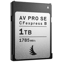 Angelbird AV Pro SE 1TB CFexpress 2.0 Type B 1785MB/s Memory Card