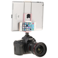 Benro MeVideo Livestream Tablet and Phone Holder - Pink