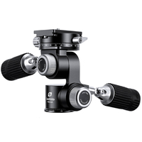 Leofoto FW-01R Pan and Tilt Head with RH-2L Panning Clamp and NP-60 Plate