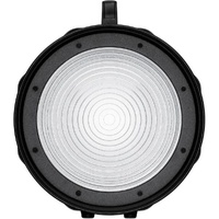Profoto Fresnel Small