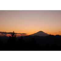 Panasonic Lumix S1 II with S 24-60mm f/2.8 Lens