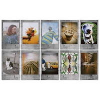 Fuji Instax Mini Instant Film 10 Shot - Stone Grey Frame