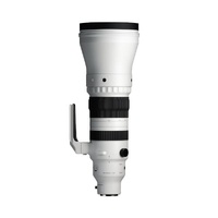 Sigma 300-600mm F4 DG OS Sports Zoom - Sony E