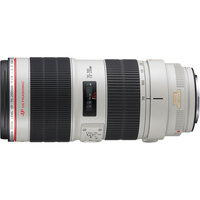 Canon EF 70-200mm f/2.8 L IS II USM Lens