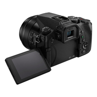 Panasonic FZ2500