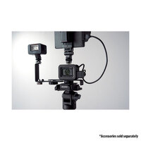 Sony RX0