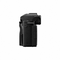 Panasonic Lumix G100 - Body only - Black 
