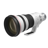 Canon RF 400mm f/2.8 L IS USM Lens