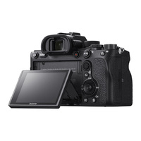 Sony A7R IV A with 70-200mm f/2.8 OSS G Master Lens