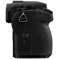 Panasonic Lumix G90 Mirrorless Camera with Lumix 12-60mm f/3.5-5.6 Lens