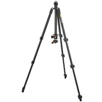 3 Legged Thing Punks Anarchy Patti Tripod with AirHed Mini Ball Head - Black/Black