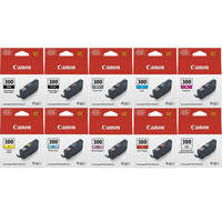 Canon PFI300 Ink Bundle