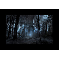 Godox AK-S02 Slide for AK-R21 Projection Attachment