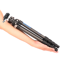 Leofoto LS-225C Ranger Series 5 Section Carbon Fibre Tripod with LH-25LR Ball Head