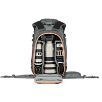 Lowepro Whistler BP 450 AW II (Grey)