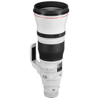 Canon EF 600 mm f/4L IS III USM Lens