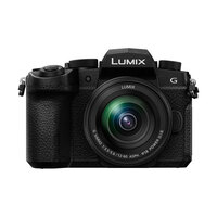 Panasonic G95 +12-60mm Lens