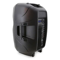 Swamp Powered PA Speaker - 15 Inch - Bi-amped 200W + 50W RMS