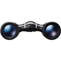 Nikon 10x21 Aculon T02 Compact Binocular - Black
