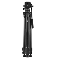 Benro T981 Photo & Video Tripod with BV3H Video Kit