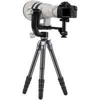 Benro GH5C Mini Carbon Fibre Gimbal Head