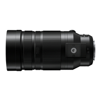 Panasonic Leica DG Vario-Elmar 100-400mm f/4-6.3 II ASPH Power OIS Lens