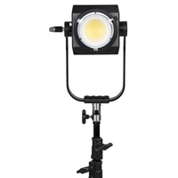 Nanlite Forza 500B II LED Monolight Bi-Colour LED light